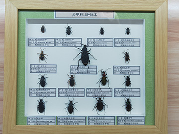 產品展示