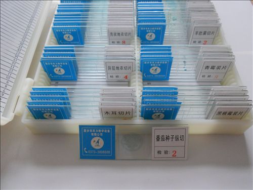 生物教學切片