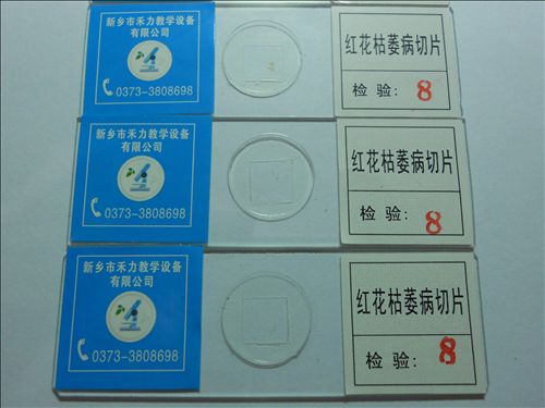 教學切片標本