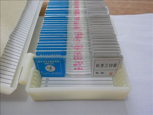 生物玻片標本